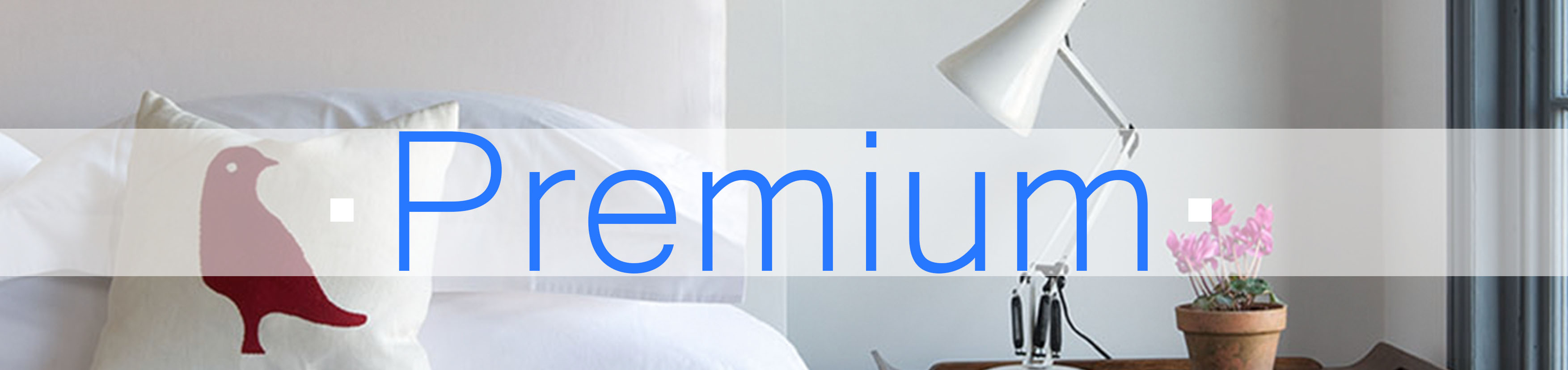 White Room Residential Photography Premium Thin White